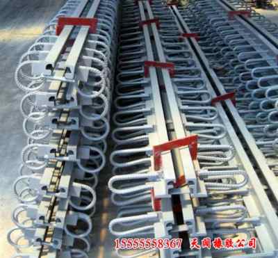 重慶誠(chéng)信合作 探索攝影燈泡與光波網(wǎng)的技術(shù)交流新篇章